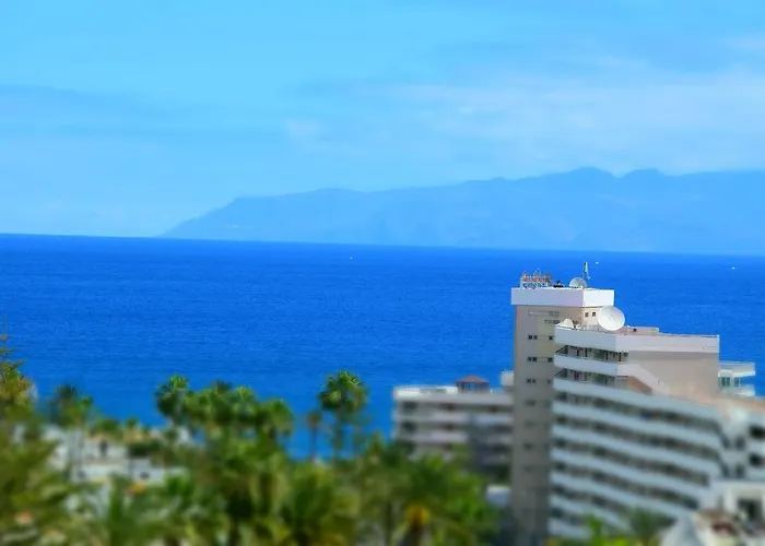 美洲船长公寓 *