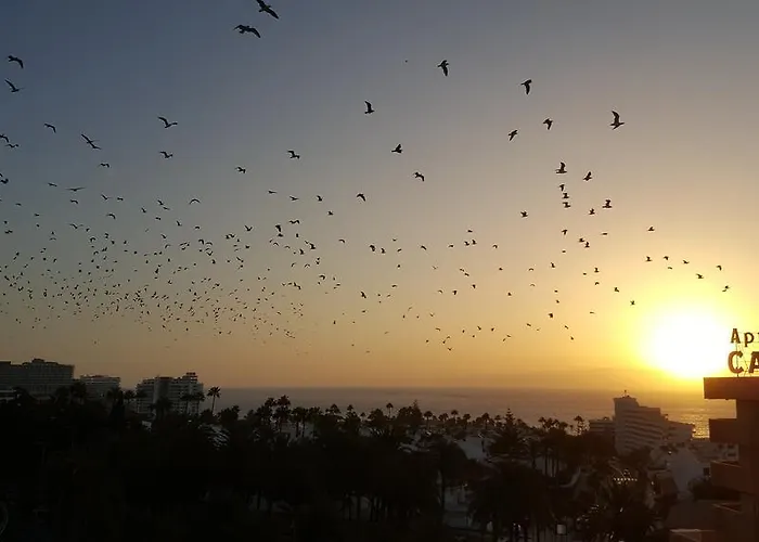 Captain Americas Apartment Playa de las Americas (Tenerife)